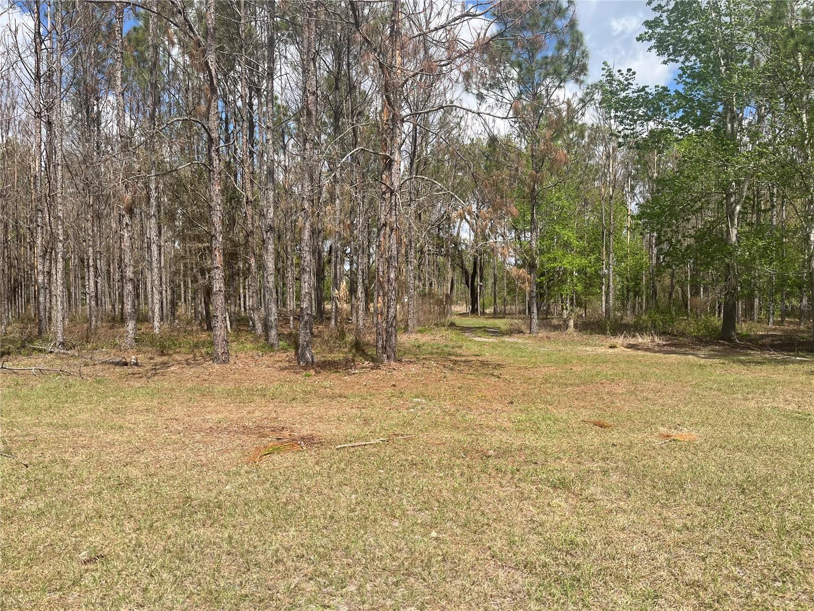 SR 471, WEBSTER, FL, 33597