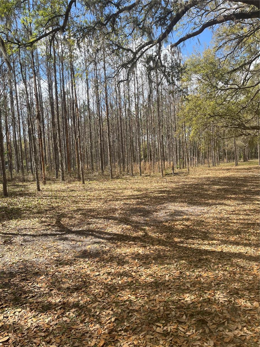 SR 471, WEBSTER, FL, 33597