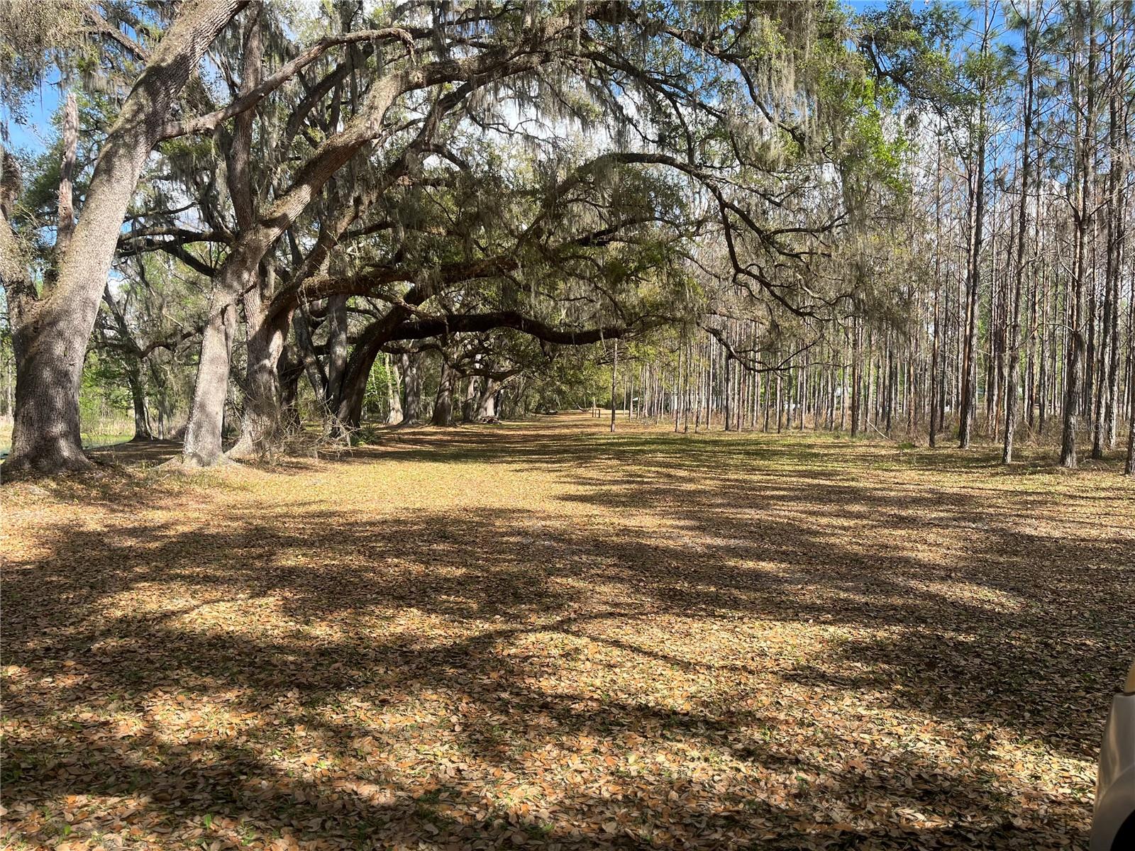 SR 471, WEBSTER, FL, 33597