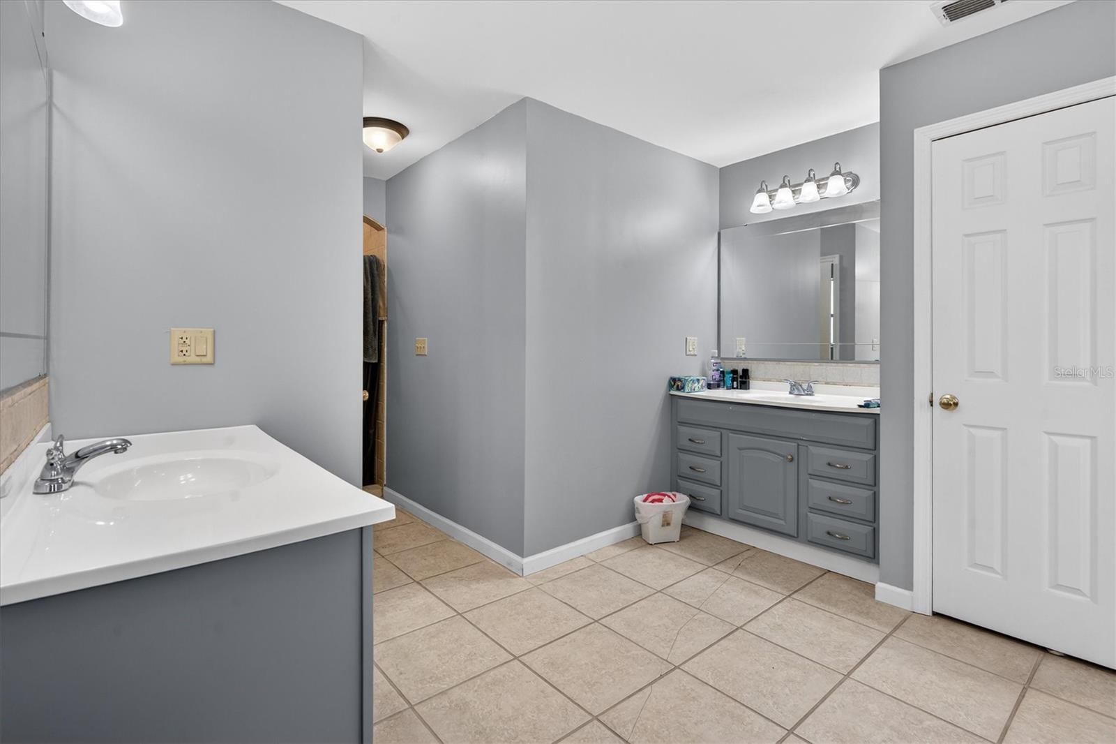 1109 E 8TH AVE, MOUNT DORA, FL, 32757