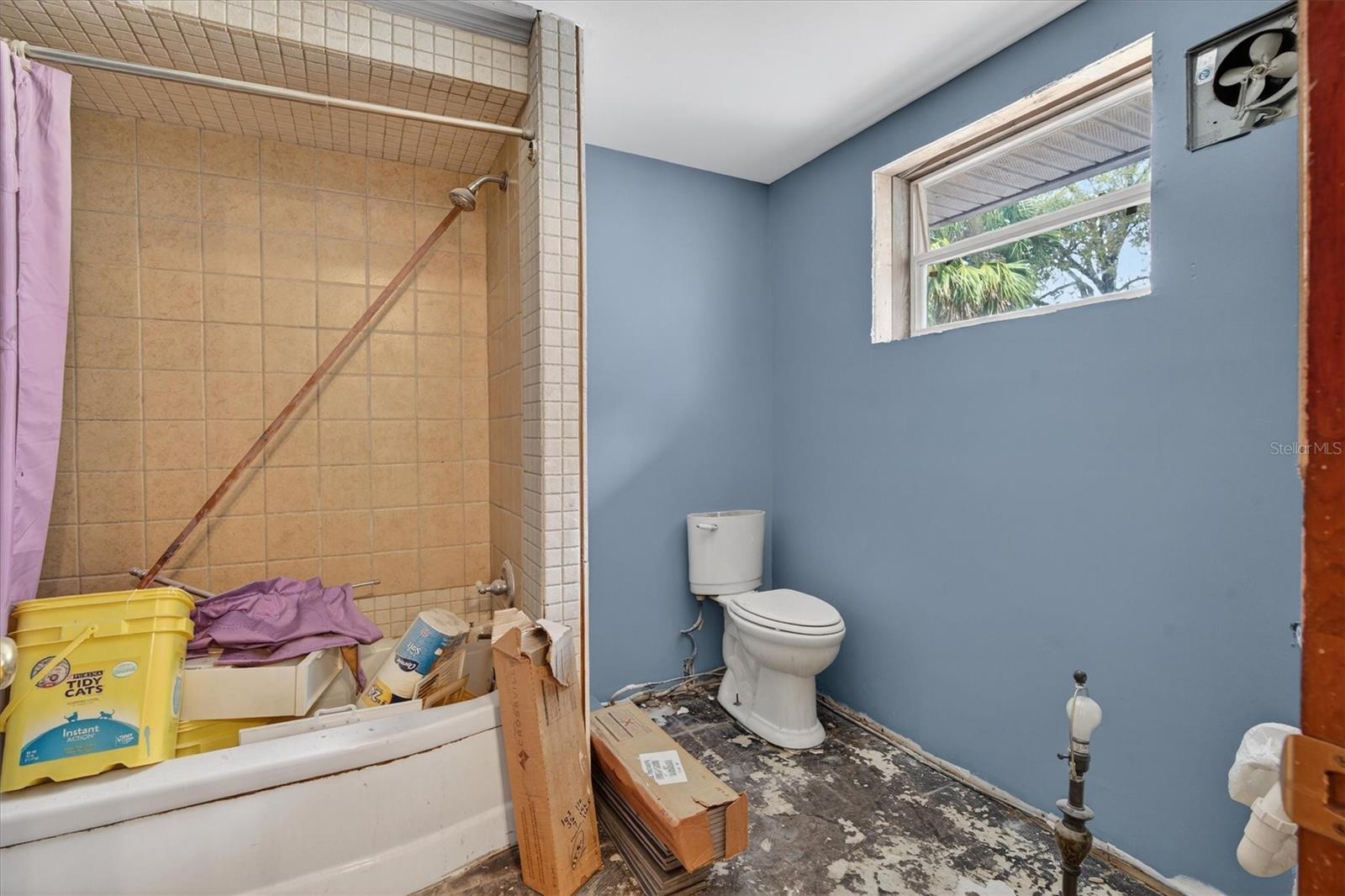 1109 E 8TH AVE, MOUNT DORA, FL, 32757