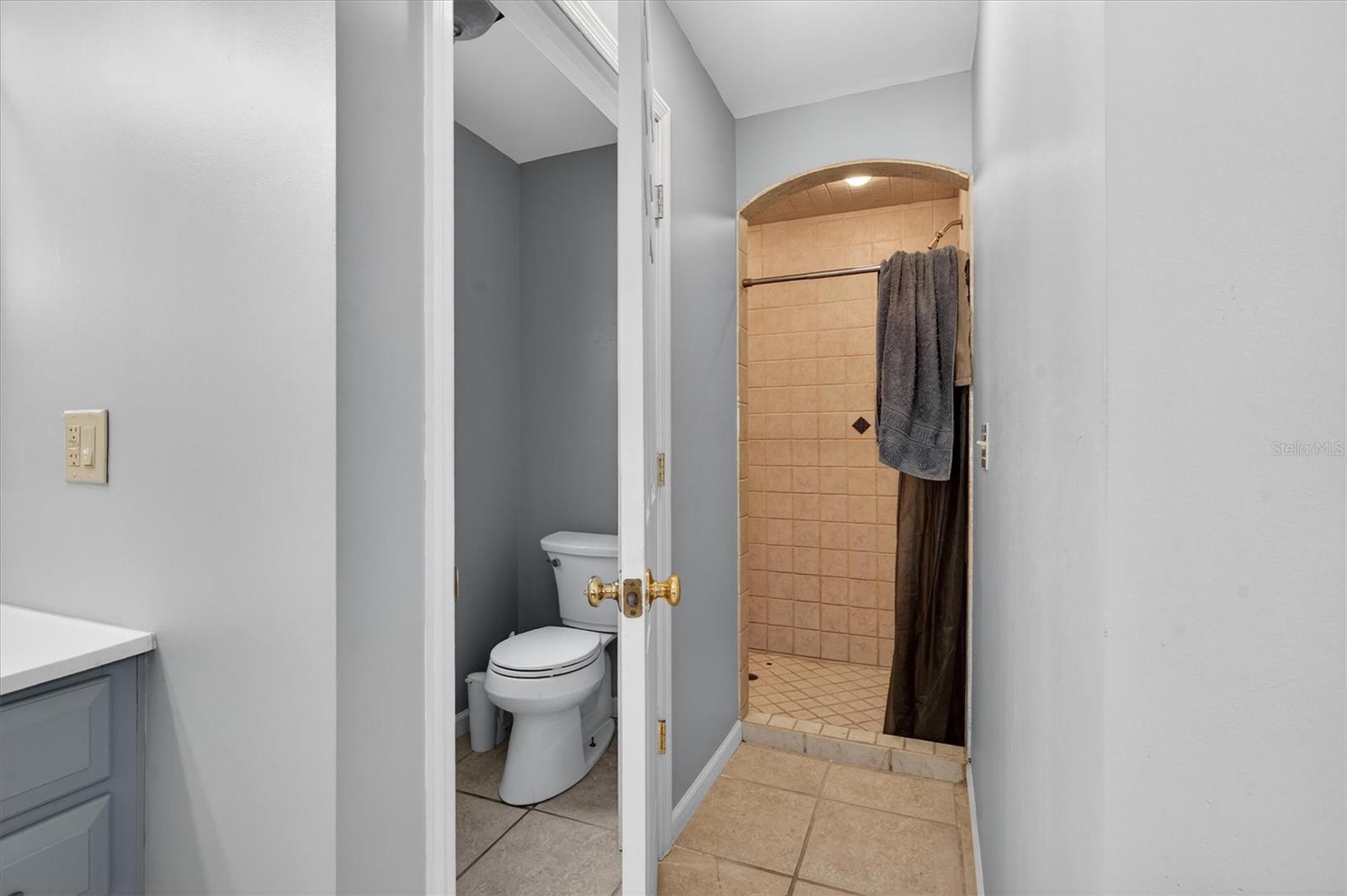 1109 E 8TH AVE, MOUNT DORA, FL, 32757