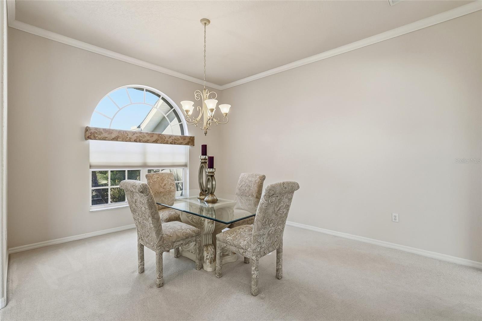 3521 CONIFER LOOP, SPRING HILL, FL, 34609