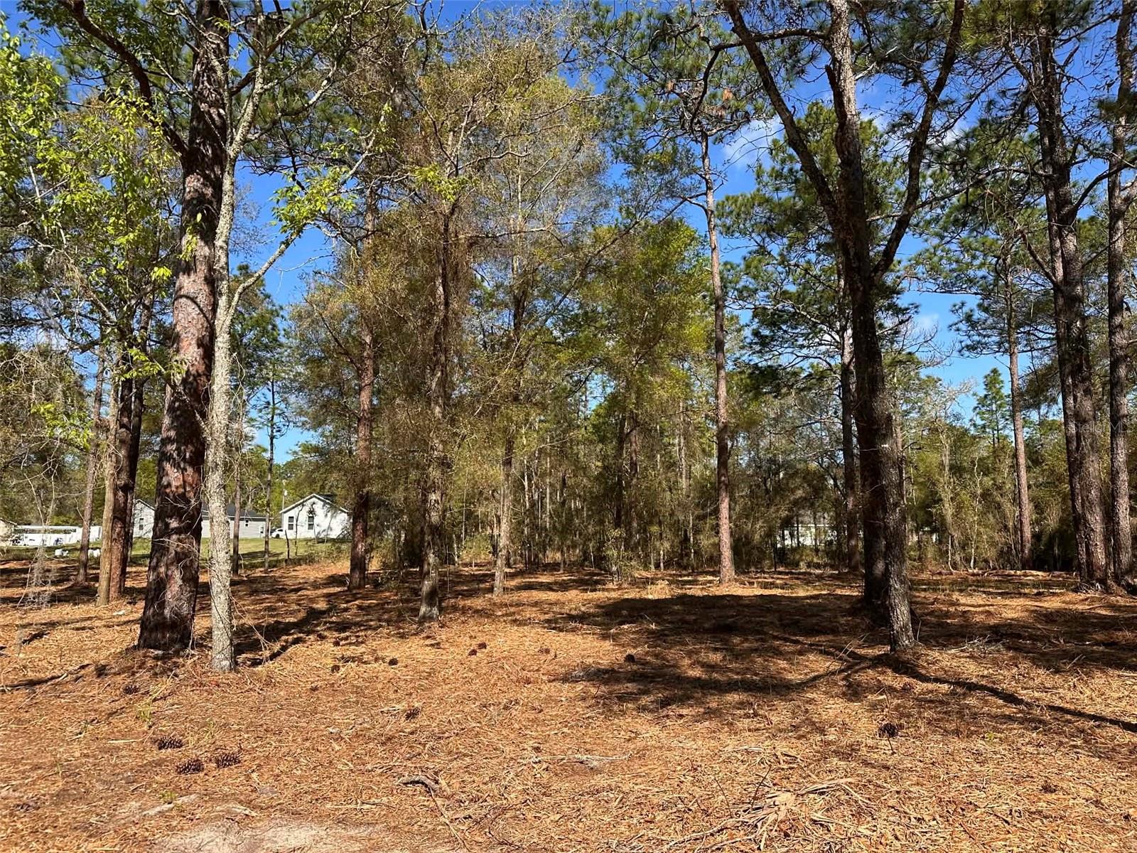 0 W HWY 40, OCALA, FL, 34481