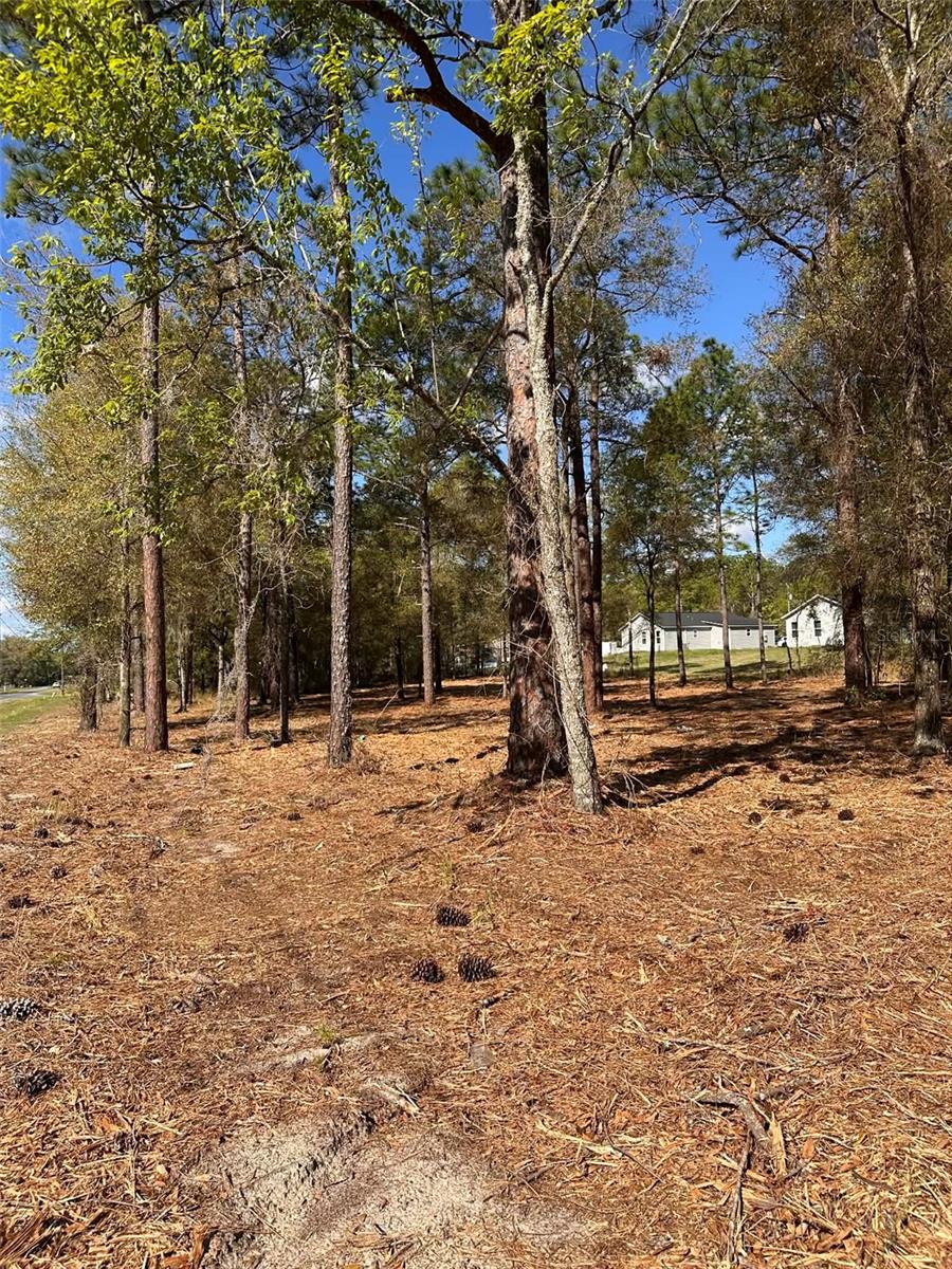 0 W HWY 40, OCALA, FL, 34481