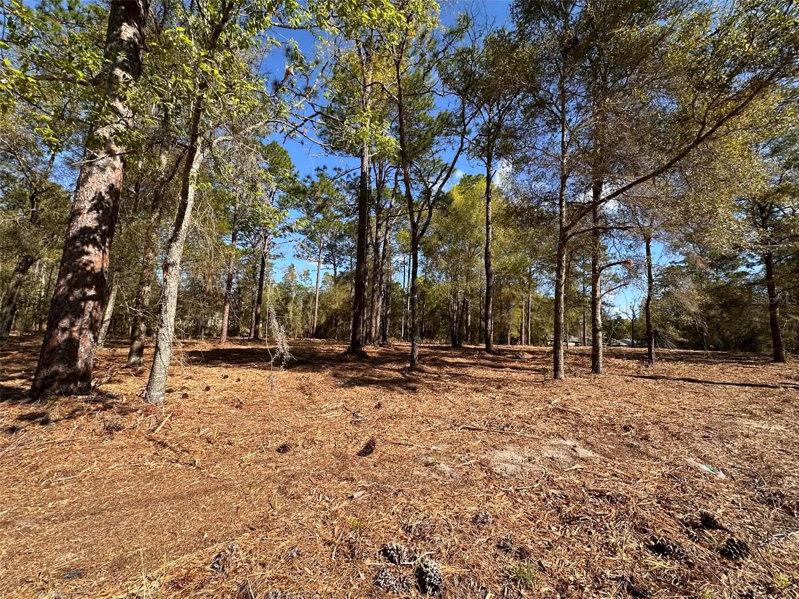 0 W HWY 40, OCALA, FL, 34481