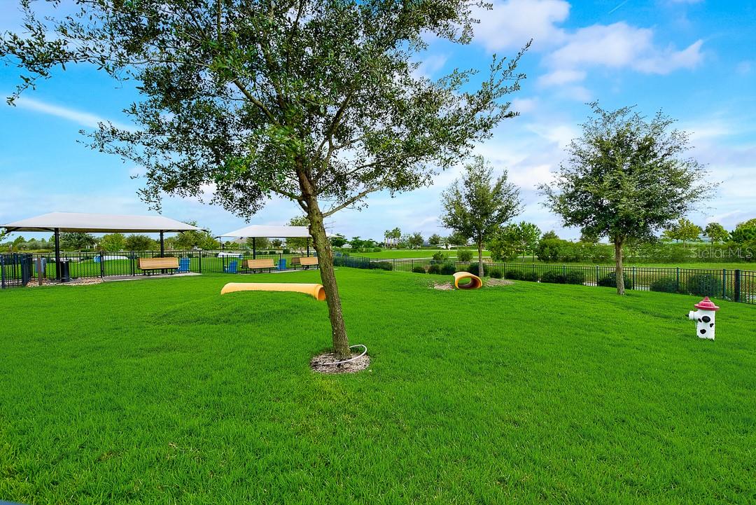 6262 GOLDCOAST AVE, APOLLO BEACH, FL, 33572