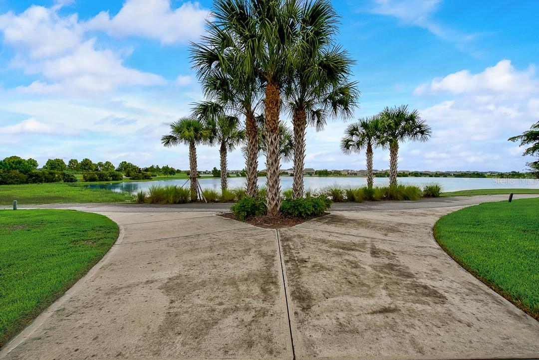 6262 GOLDCOAST AVE, APOLLO BEACH, FL, 33572