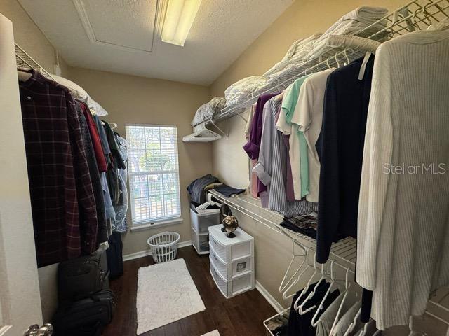 1128 RUSH ST, CELEBRATION, FL, 34747