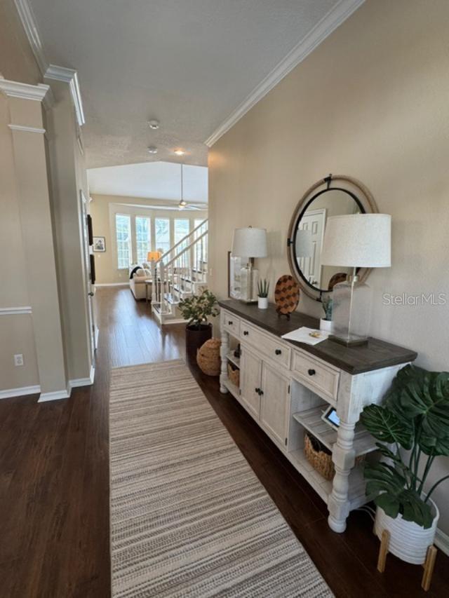 1128 RUSH ST, CELEBRATION, FL, 34747