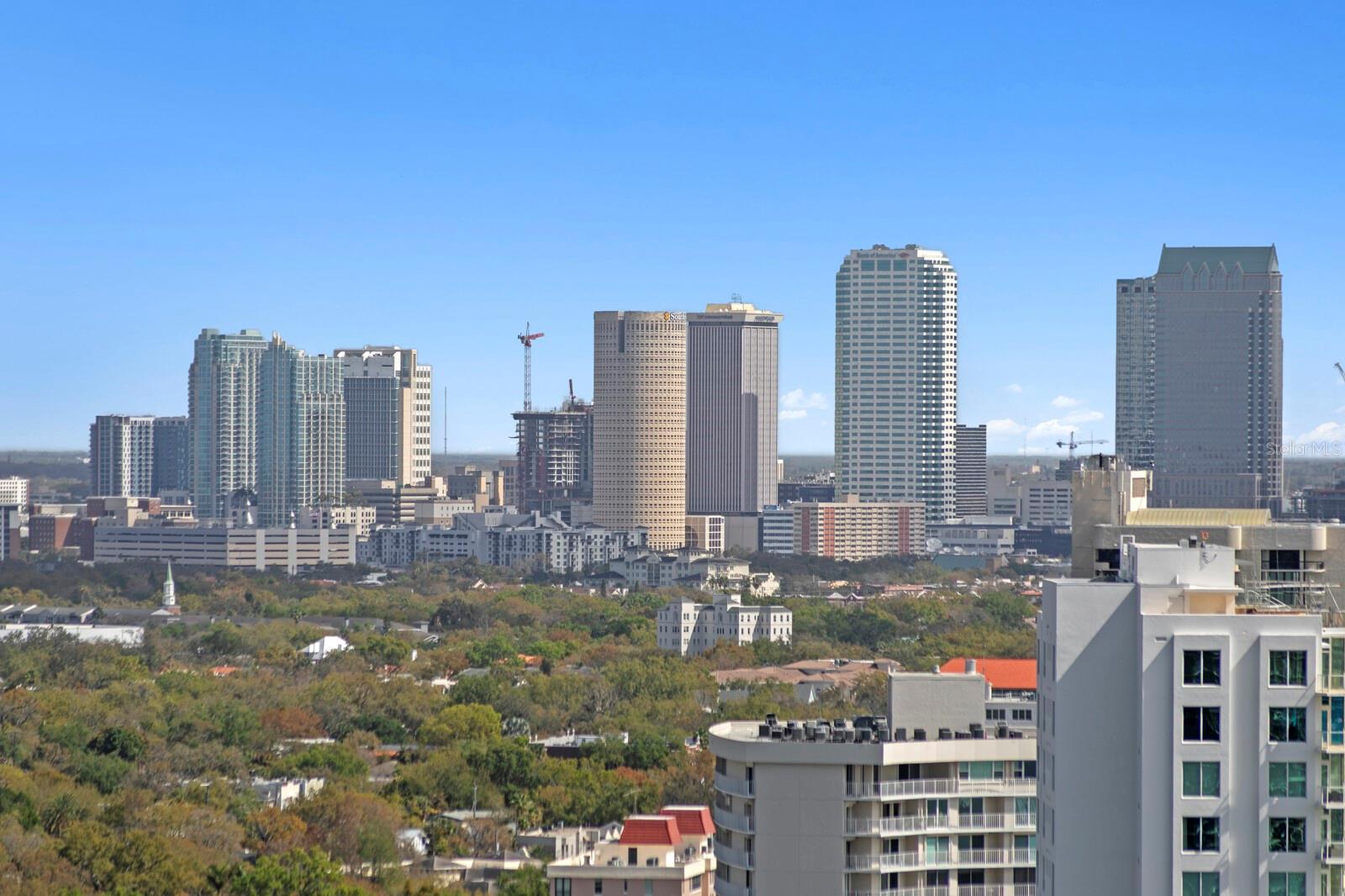 3015 S YSABELLA AVE #2402, TAMPA, FL, 33629