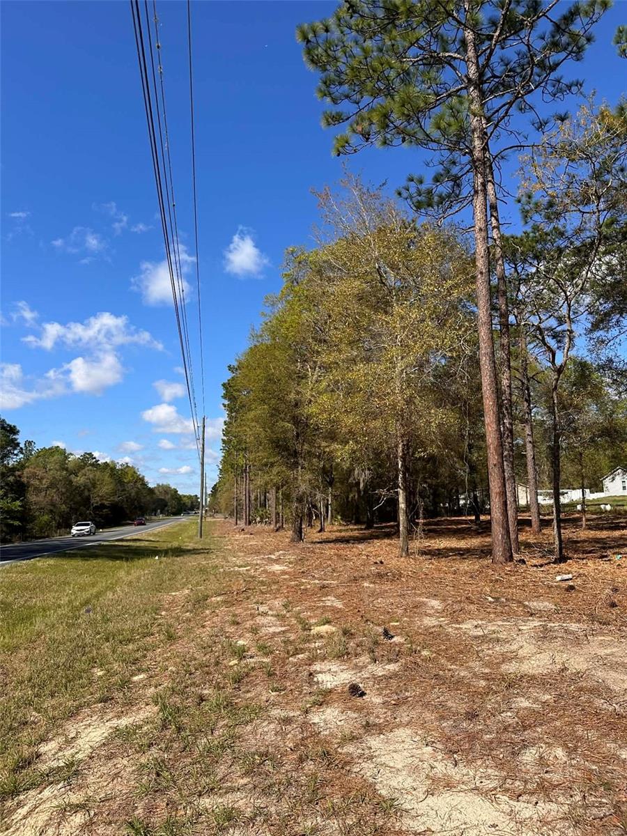 0 W HWY 40, OCALA, FL, 34481