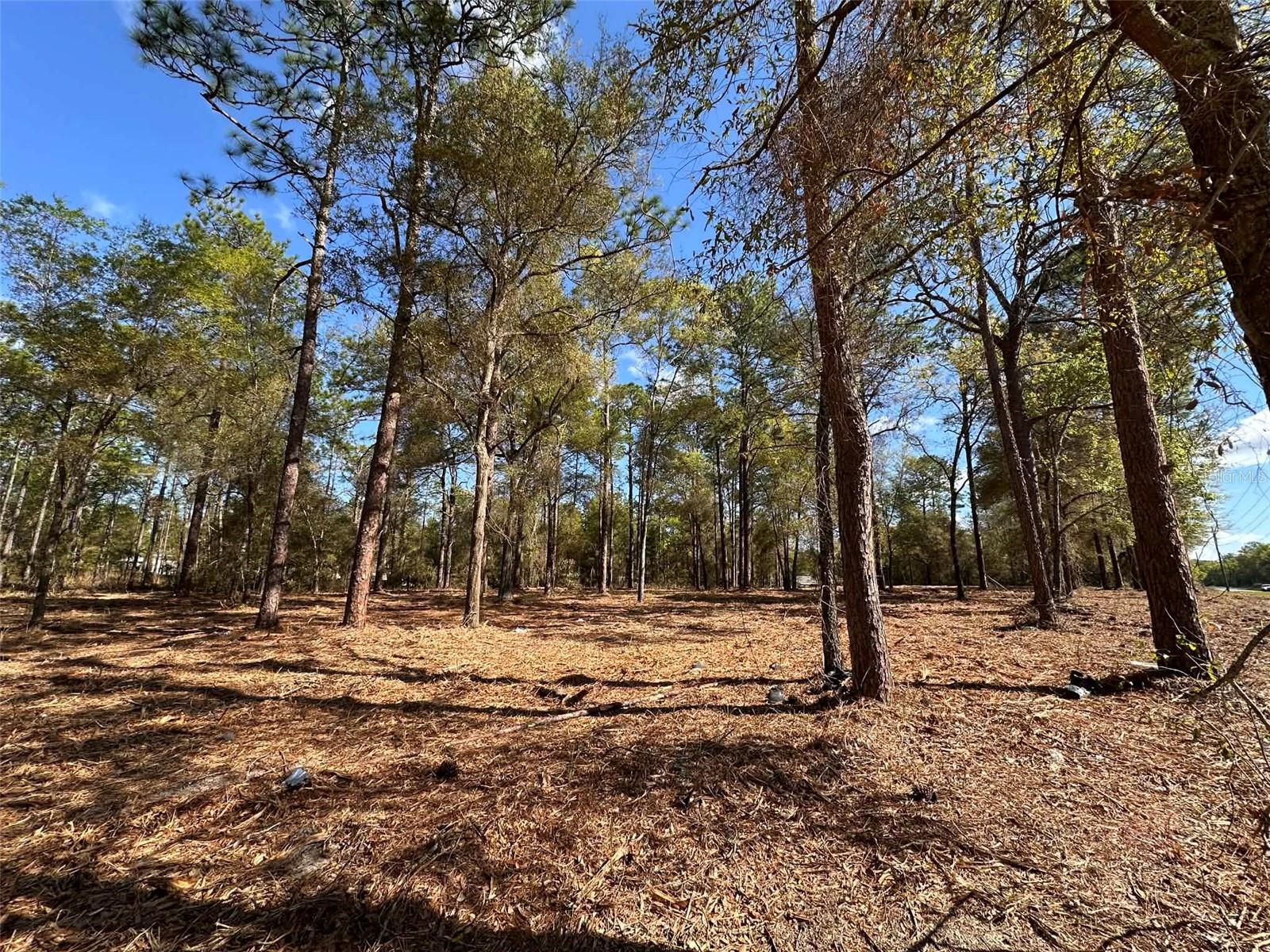 0 W HWY 40, OCALA, FL, 34481