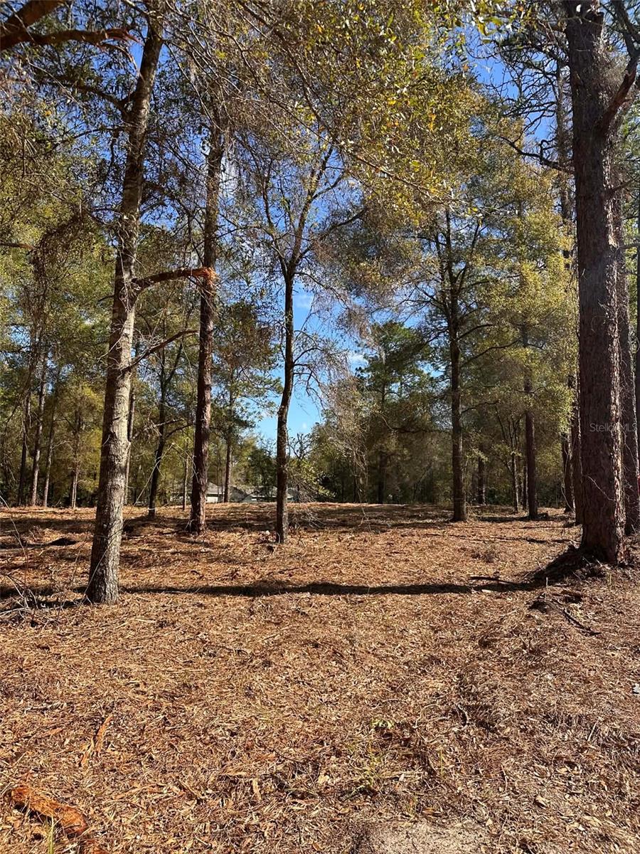 0 W HWY 40, OCALA, FL, 34481