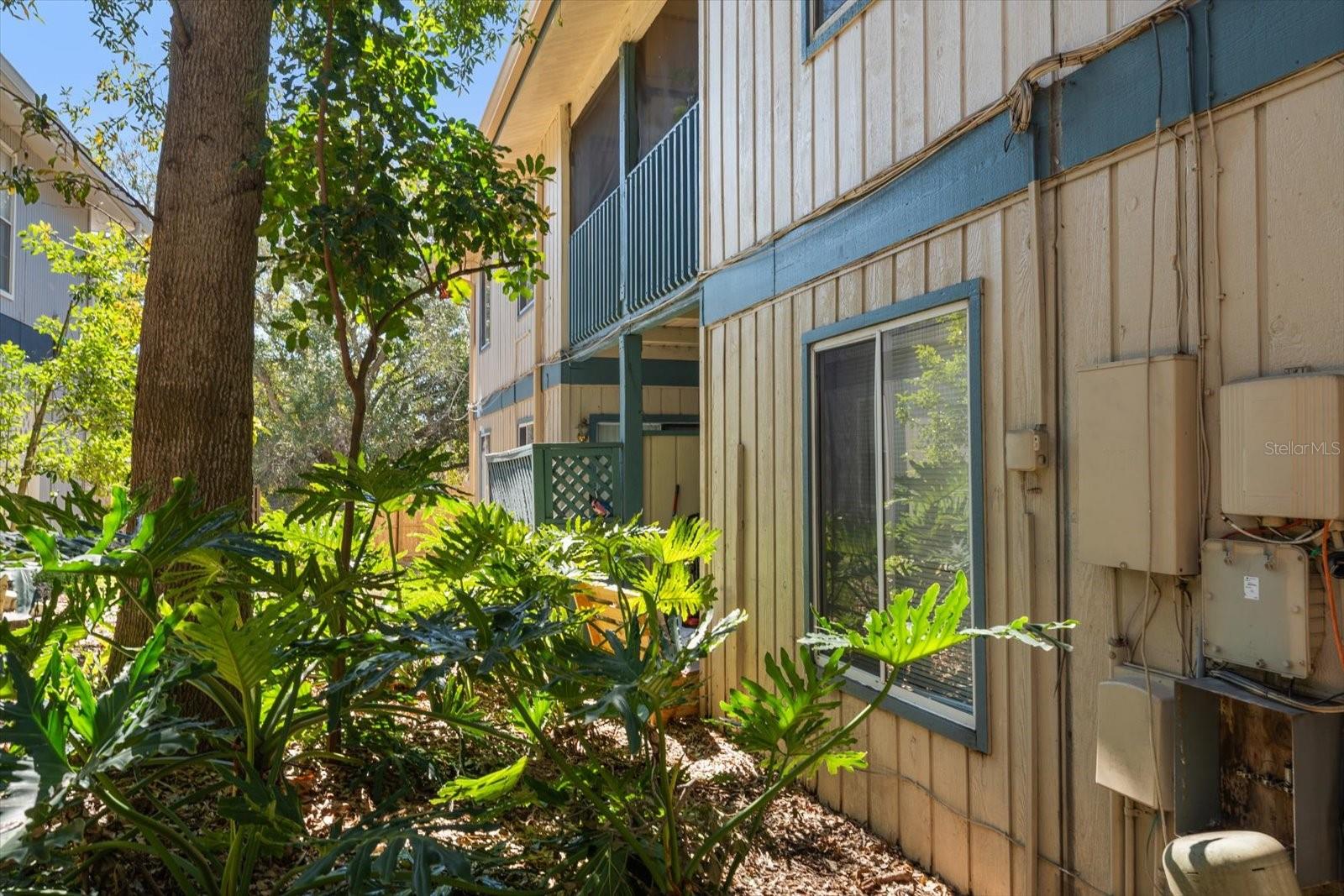 1113 OHIO AVE, DUNEDIN, FL, 34698