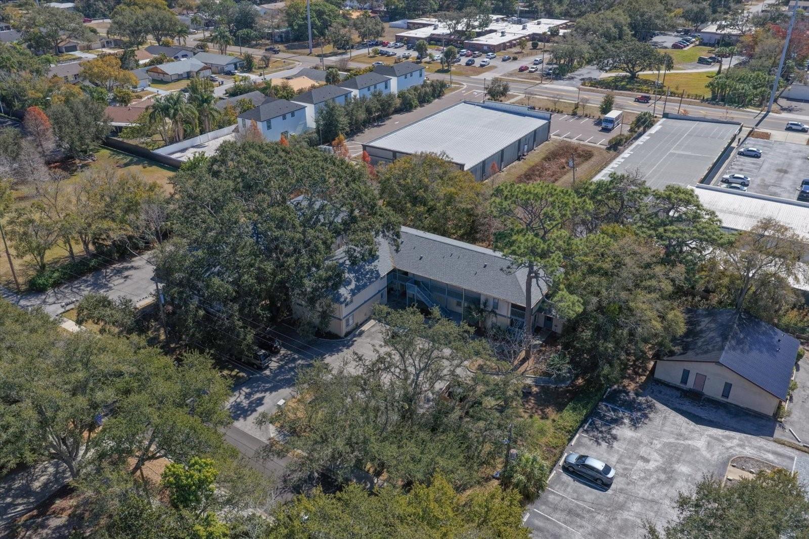 1113 OHIO AVE, DUNEDIN, FL, 34698