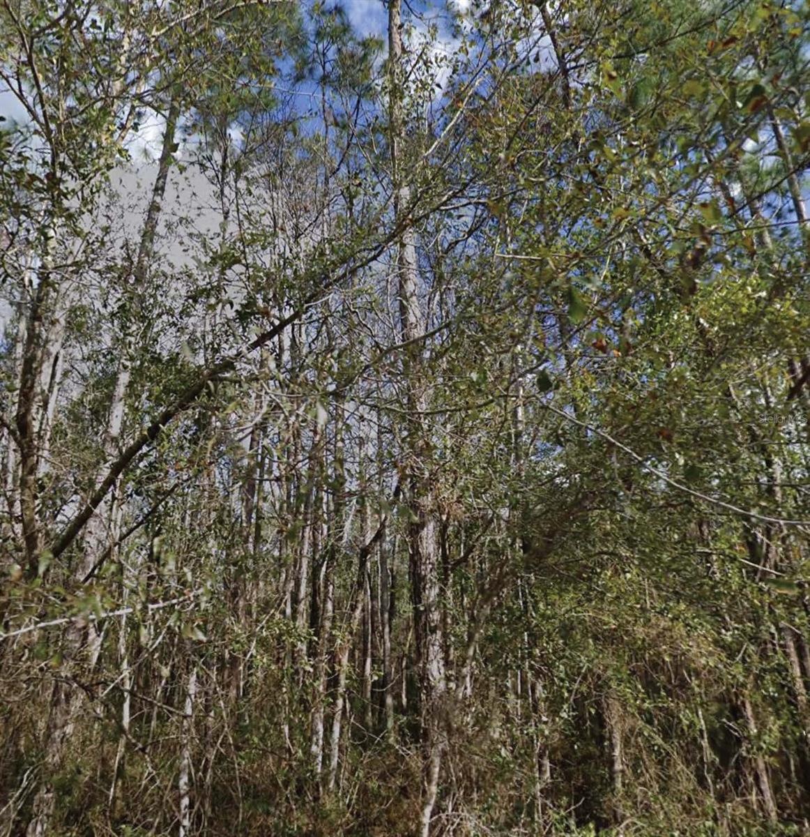 SE 3RD ST, PALATKA, FL, 32177