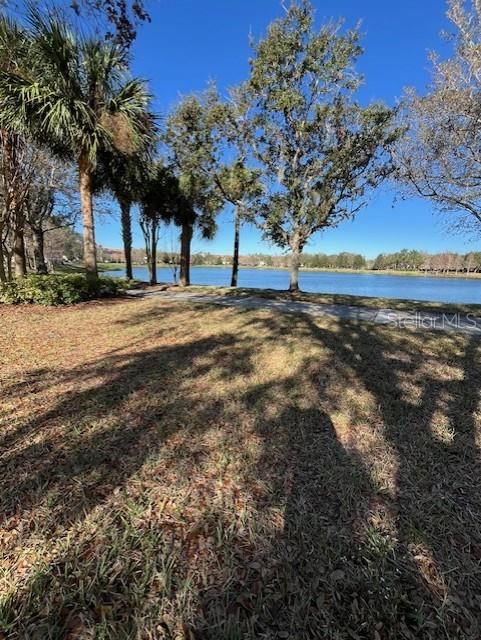 11456 CENTER LAKE DR, WINDERMERE, FL, 34786