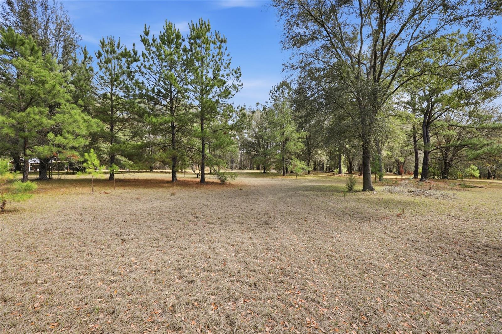 22317 NW 188TH ST, HIGH SPRINGS, FL, 32643