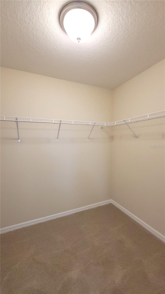 8156 WOOD SAGE DRIVE, WINTER GARDEN, FL, 34787