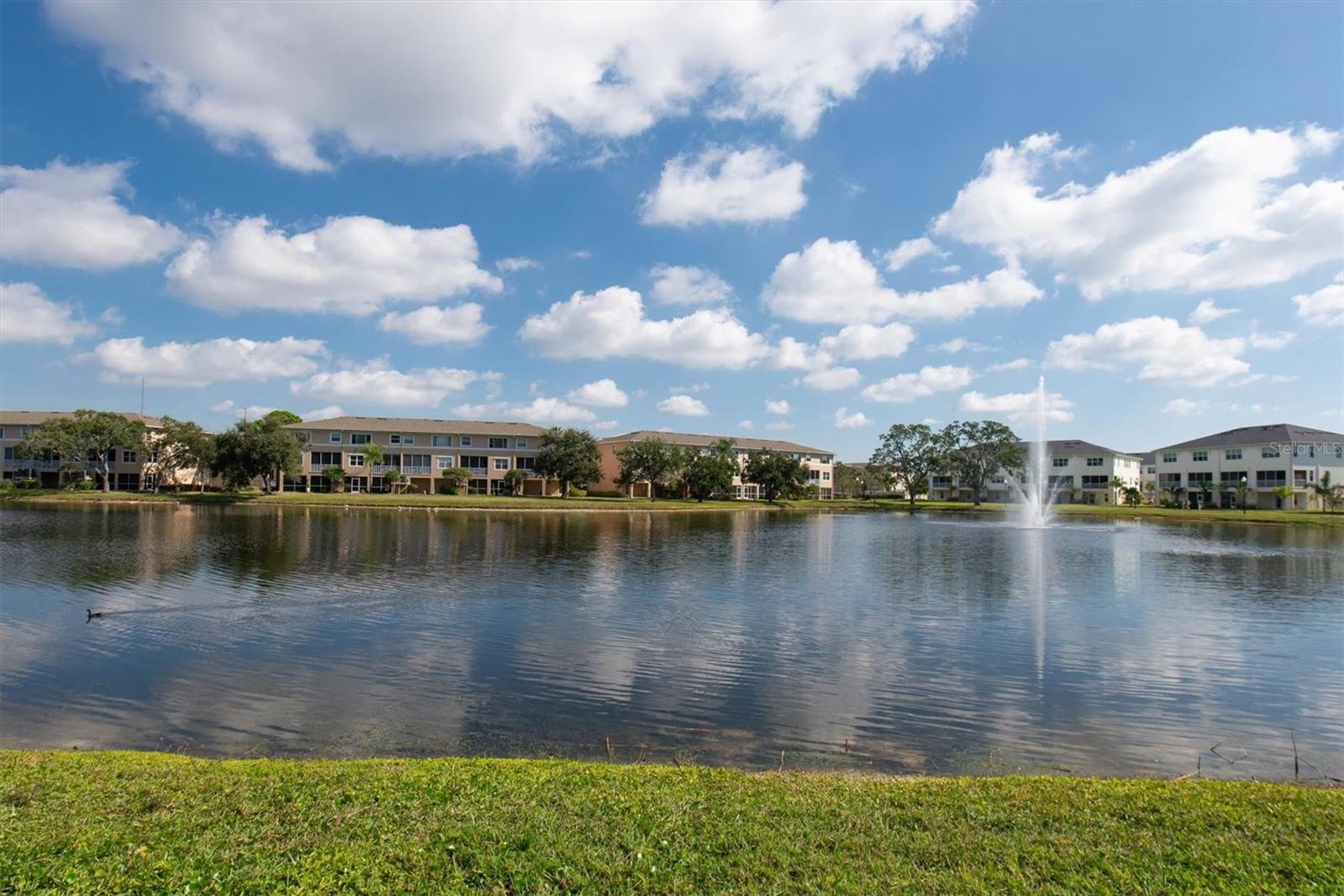 7069 KEY HAVEN RD #302, SEMINOLE, FL, 33777