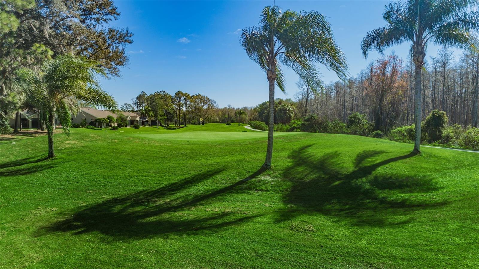 9819 CONSERVATION DR, NEW PORT RICHEY, FL, 34655