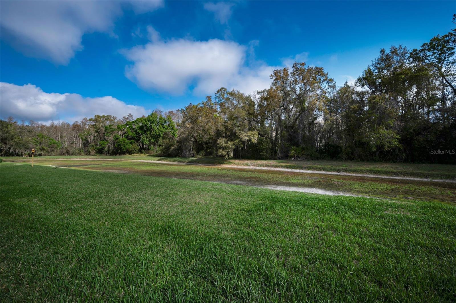 9819 CONSERVATION DR, NEW PORT RICHEY, FL, 34655