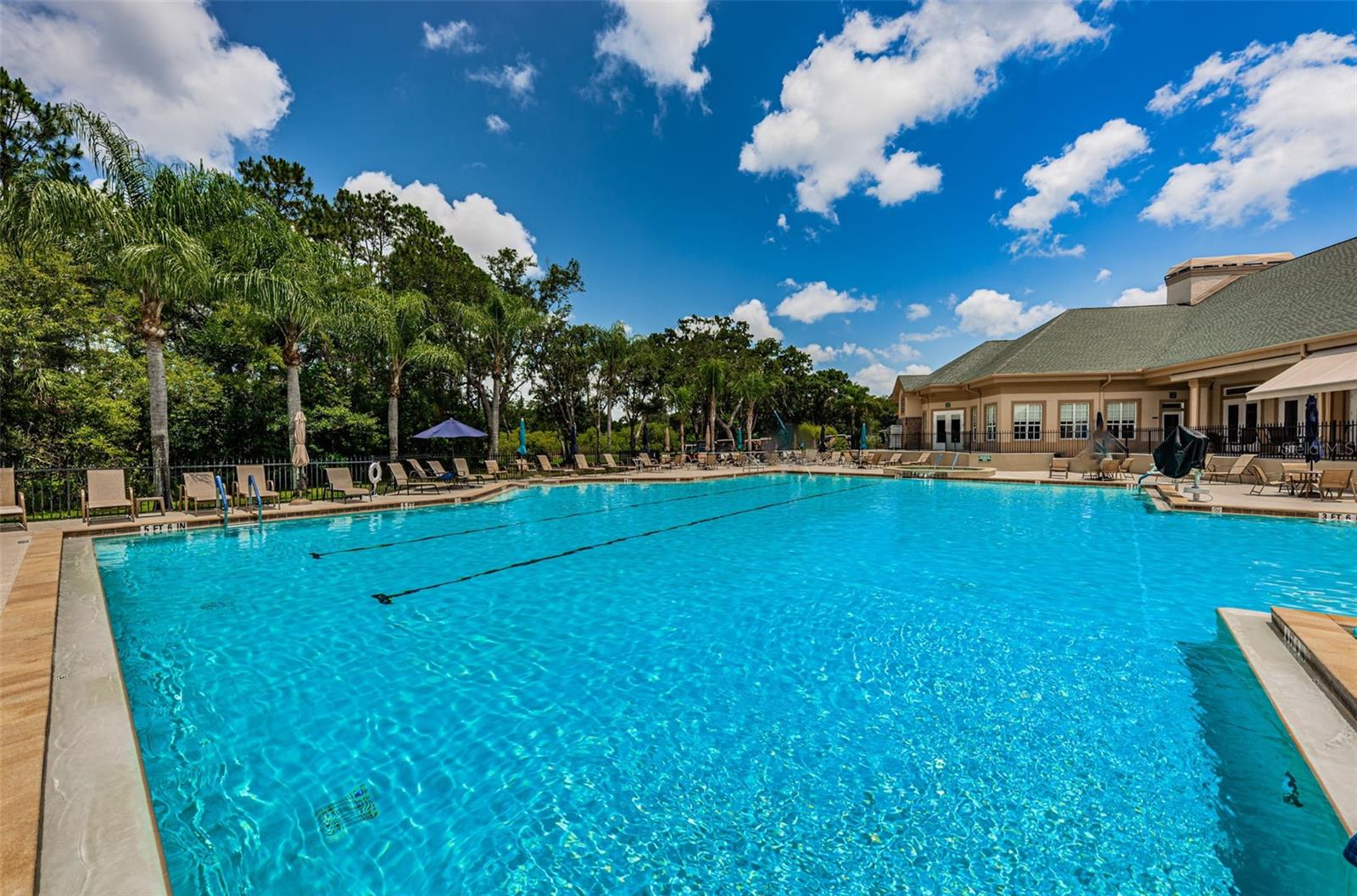 9819 CONSERVATION DR, NEW PORT RICHEY, FL, 34655