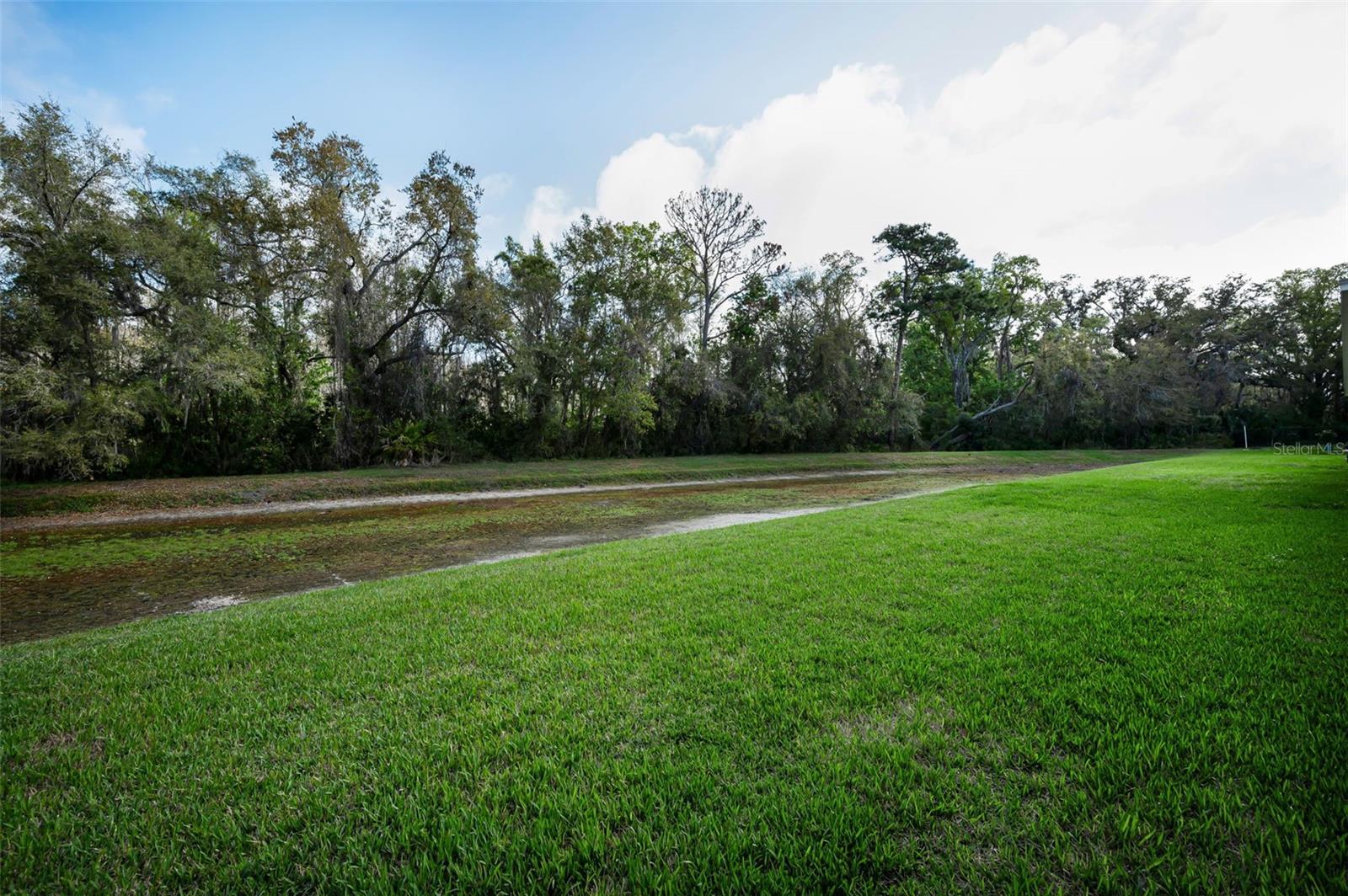 9819 CONSERVATION DR, NEW PORT RICHEY, FL, 34655