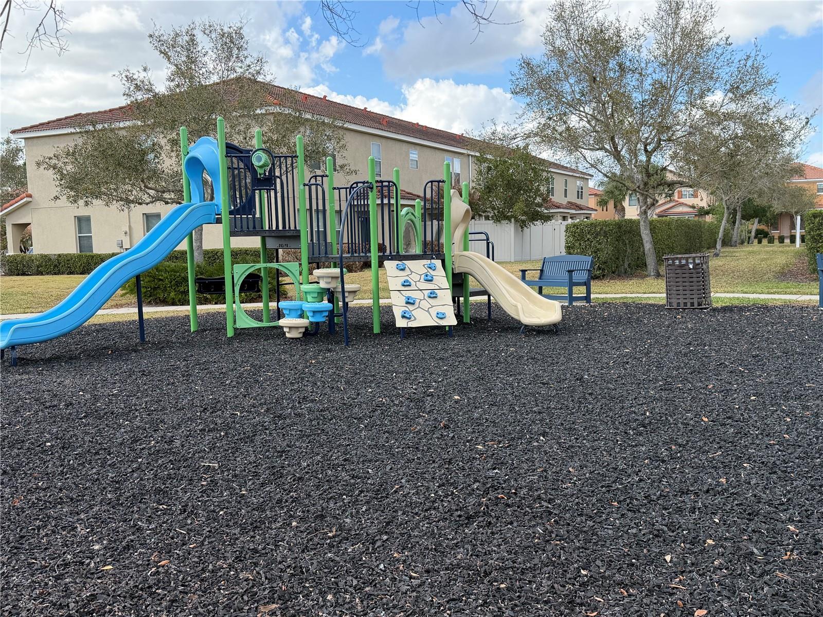 1996 LEATHER FERN DR, OCOEE, FL, 34761