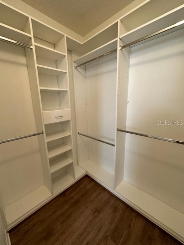 1005 WIREGRASS ST, CELEBRATION, FL, 34747