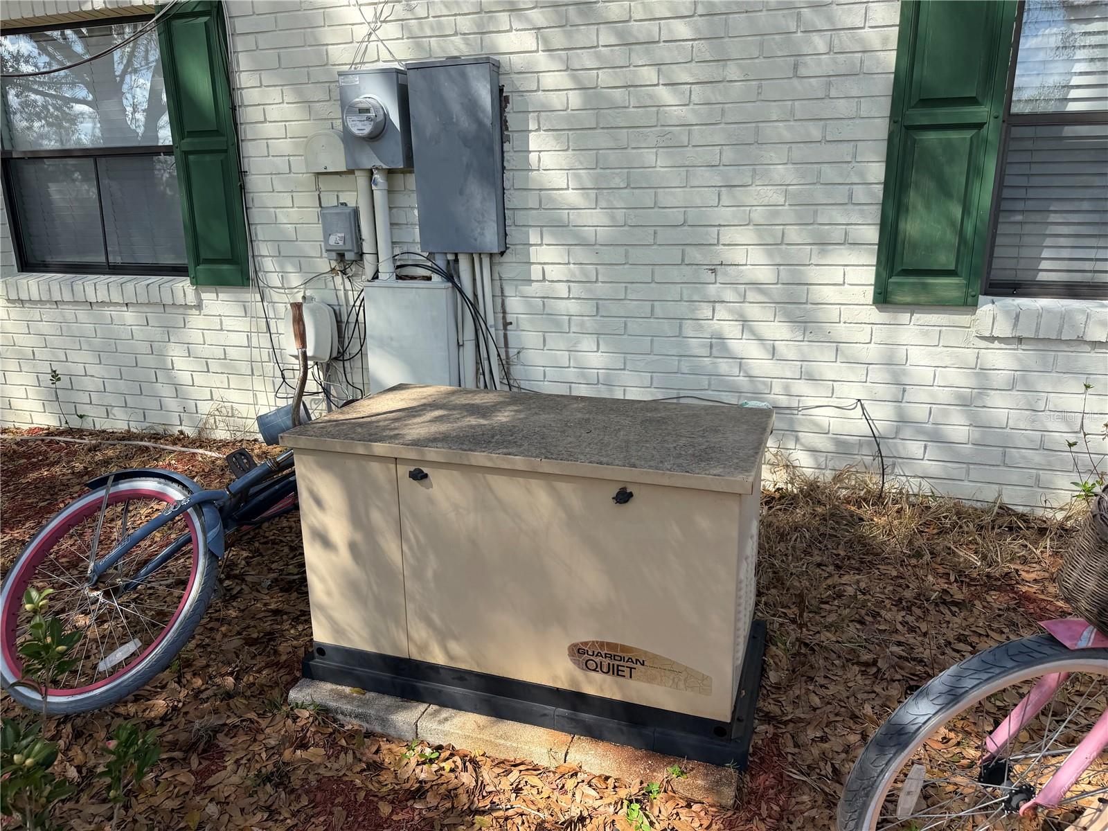 39106 GRAYS AIRPORT RD, LADY LAKE, FL, 32159