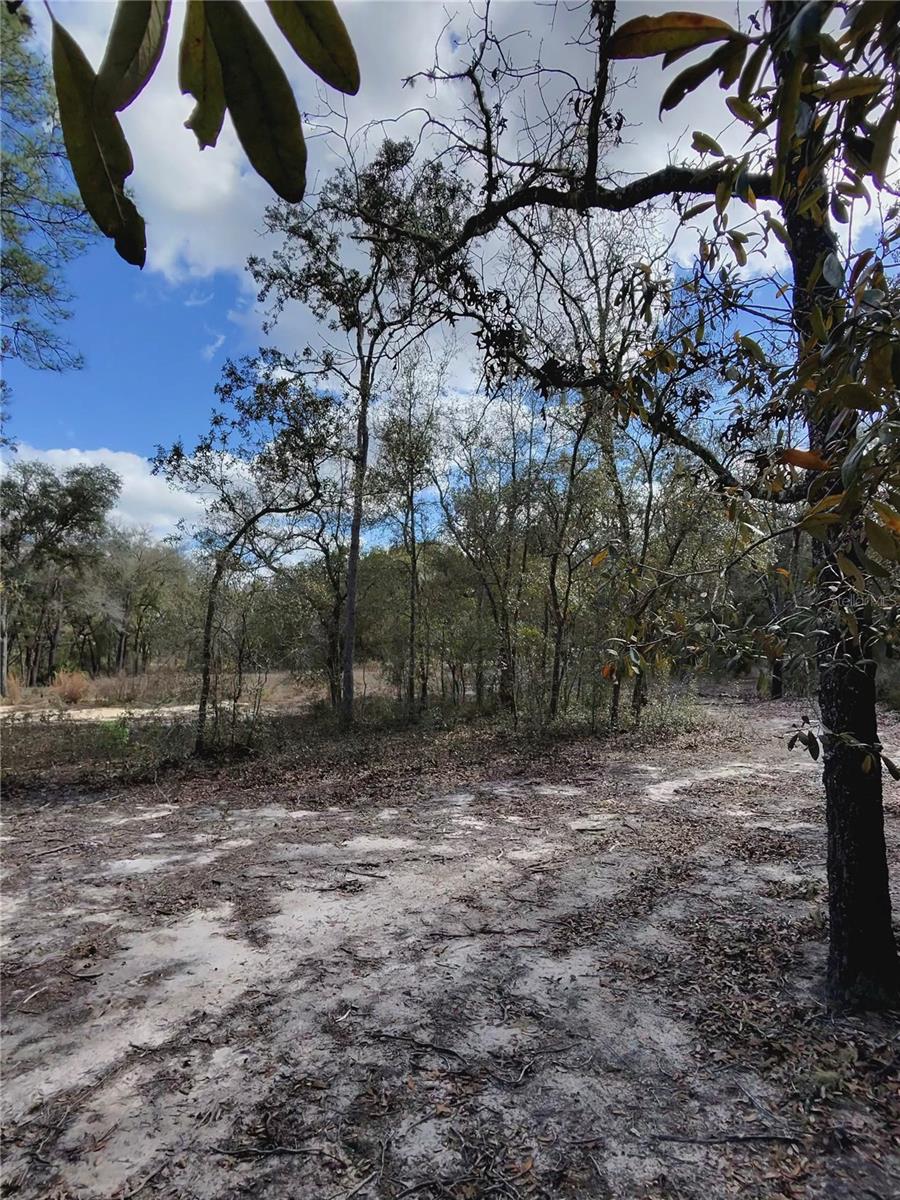 TBD NE 96TH ST, ARCHER, FL, 32618