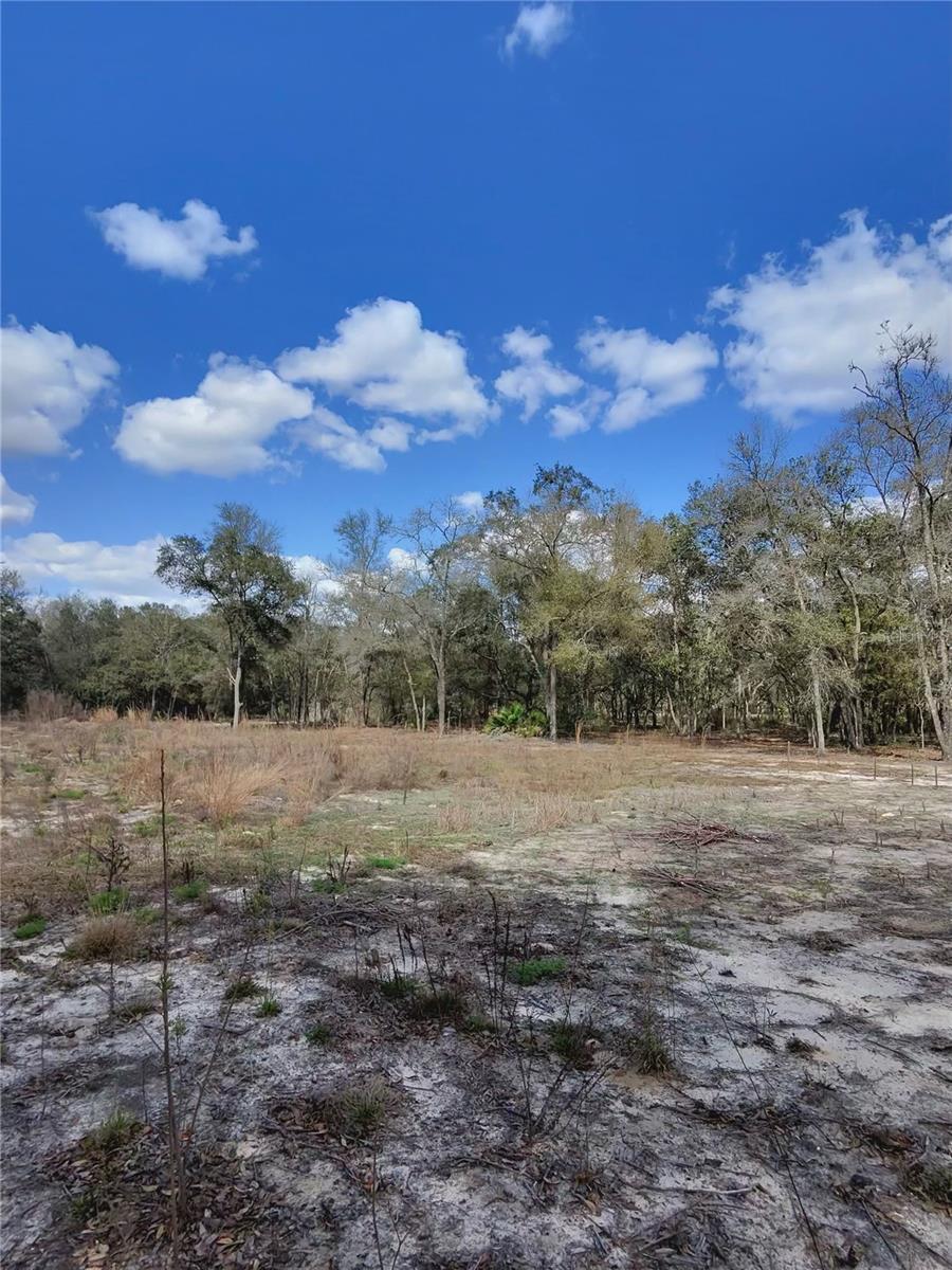 TBD NE 96TH ST, ARCHER, FL, 32618