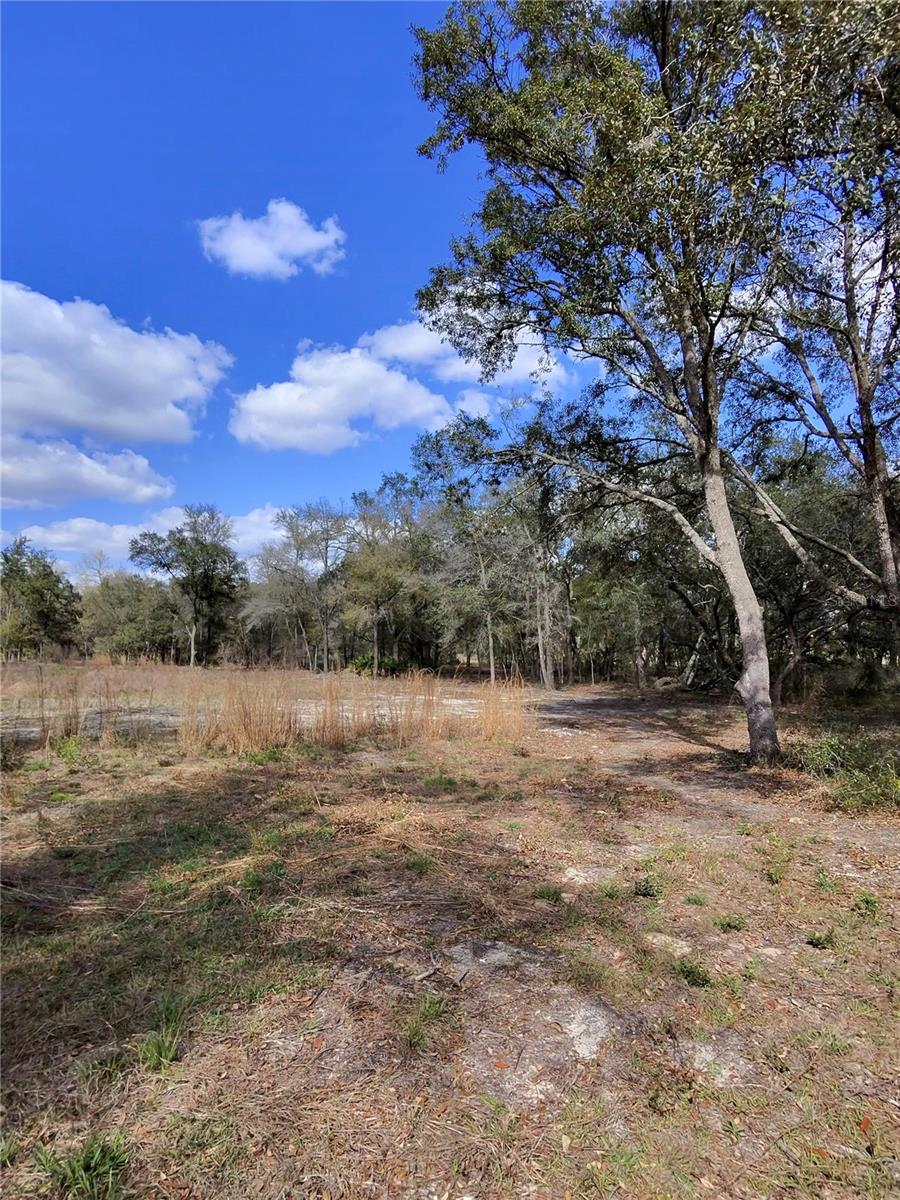 TBD NE 96TH ST, ARCHER, FL, 32618