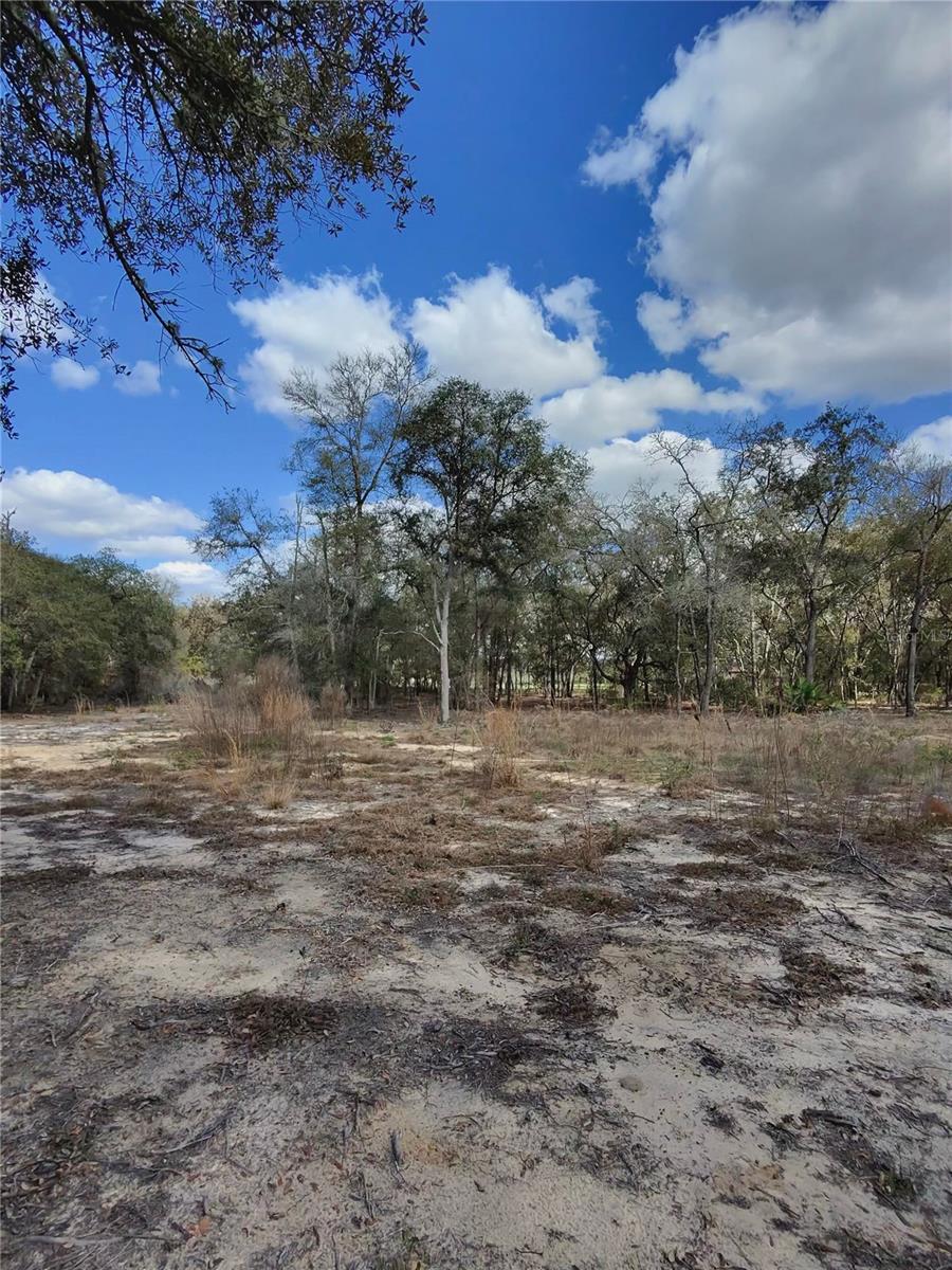 TBD NE 96TH ST, ARCHER, FL, 32618