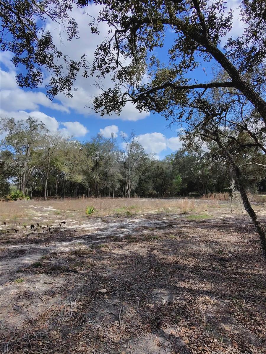 TBD NE 96TH ST, ARCHER, FL, 32618