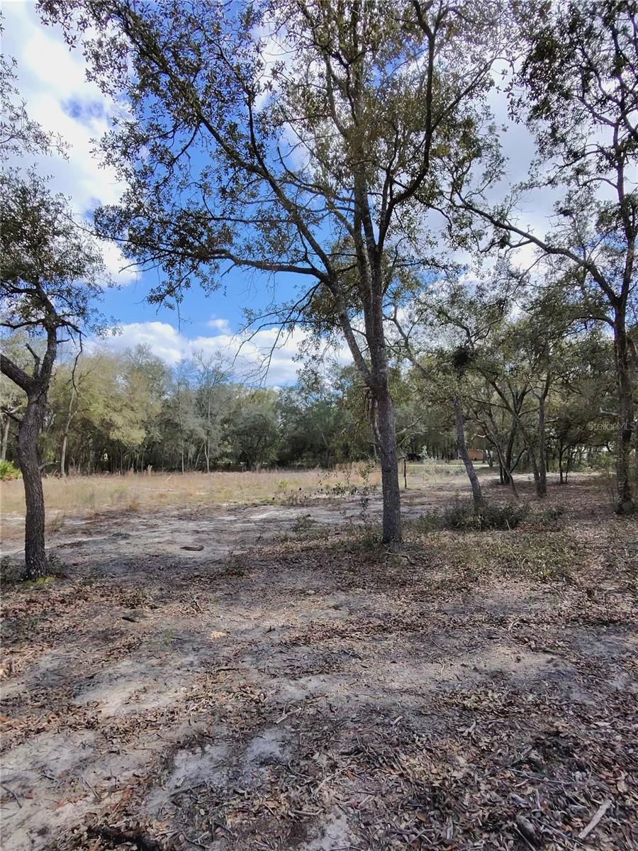 TBD NE 96TH ST, ARCHER, FL, 32618