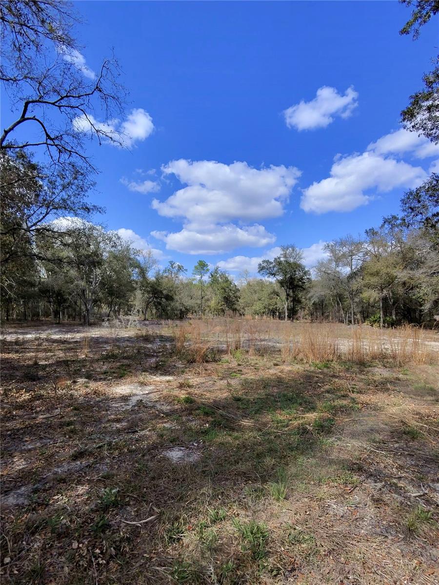 TBD NE 96TH ST, ARCHER, FL, 32618
