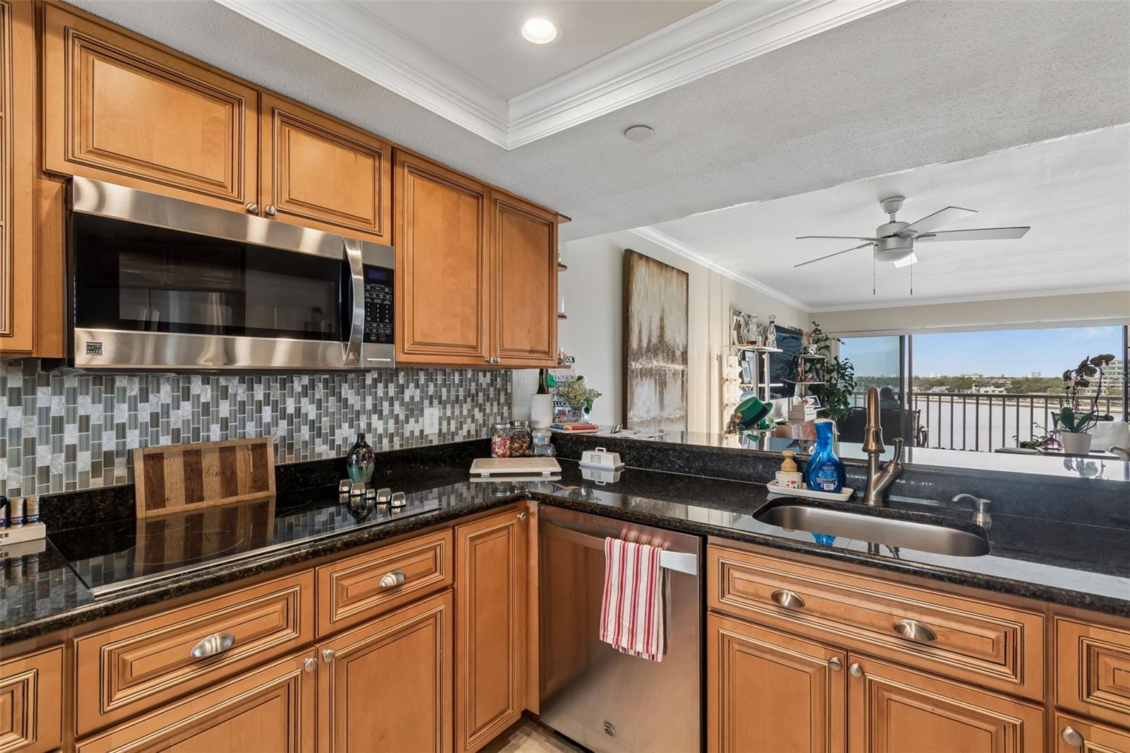 2 ADALIA AVE #704, TAMPA, FL, 33606