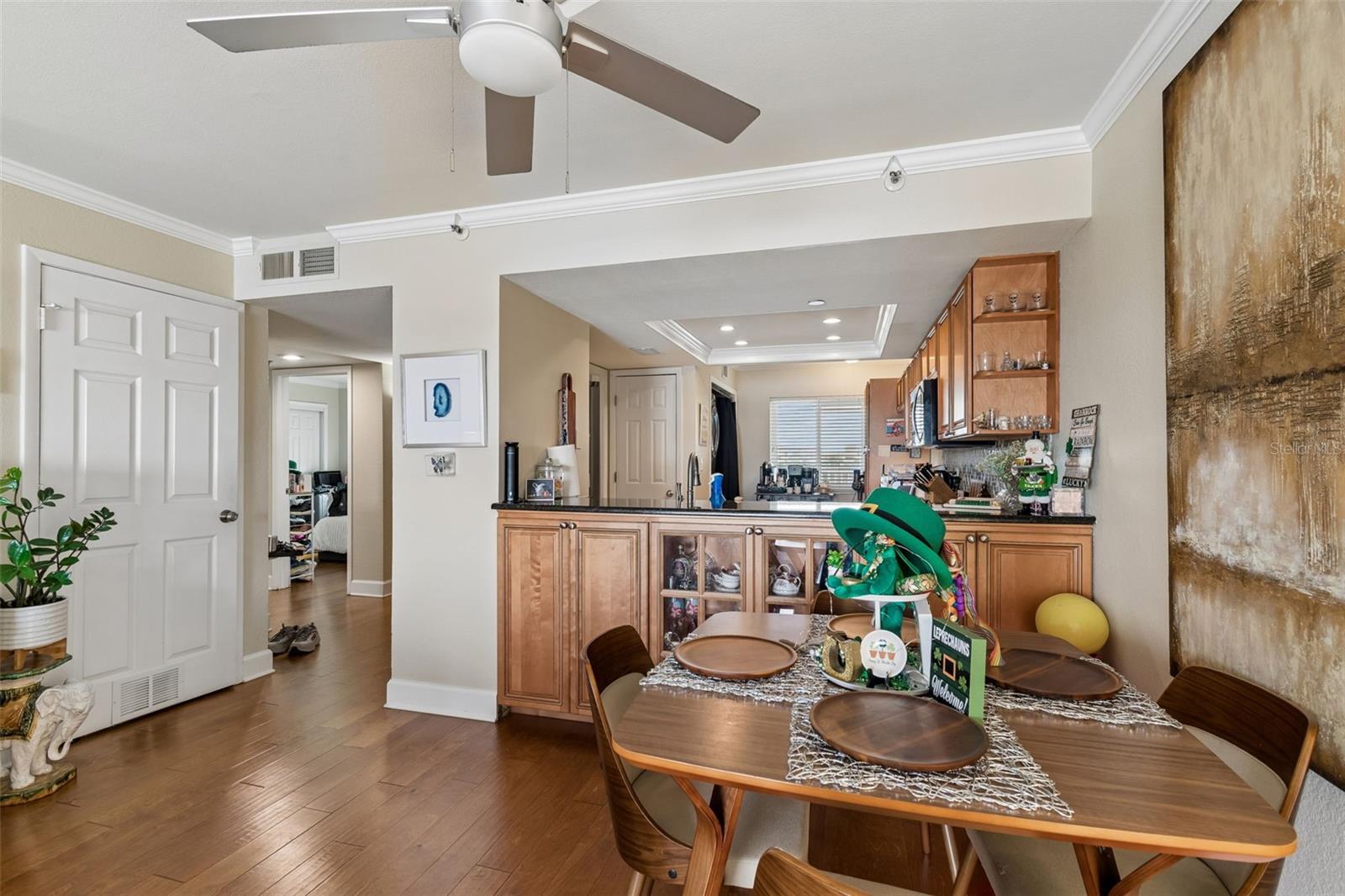 2 ADALIA AVE #704, TAMPA, FL, 33606