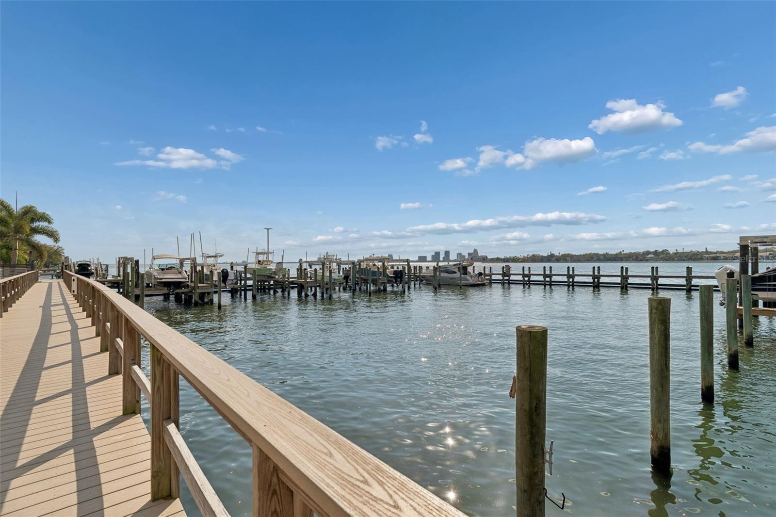 2 ADALIA AVE #704, TAMPA, FL, 33606