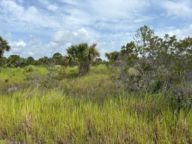 2239 UTOPIA AVE SW, PALM BAY, FL, 32908