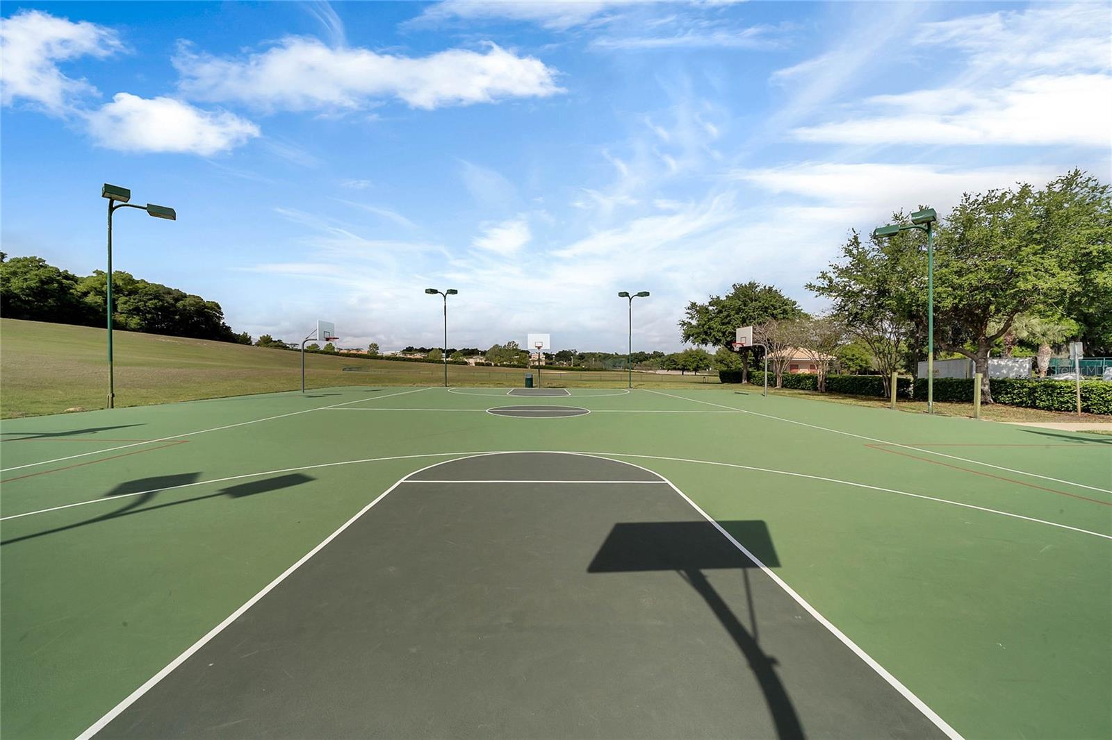 5870 ALENLON WAY, MOUNT DORA, FL, 32757