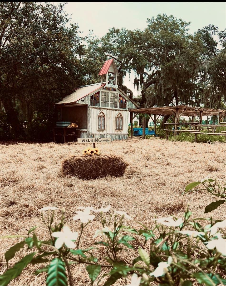 15300 LAKE IOLA RD, DADE CITY, FL, 33523