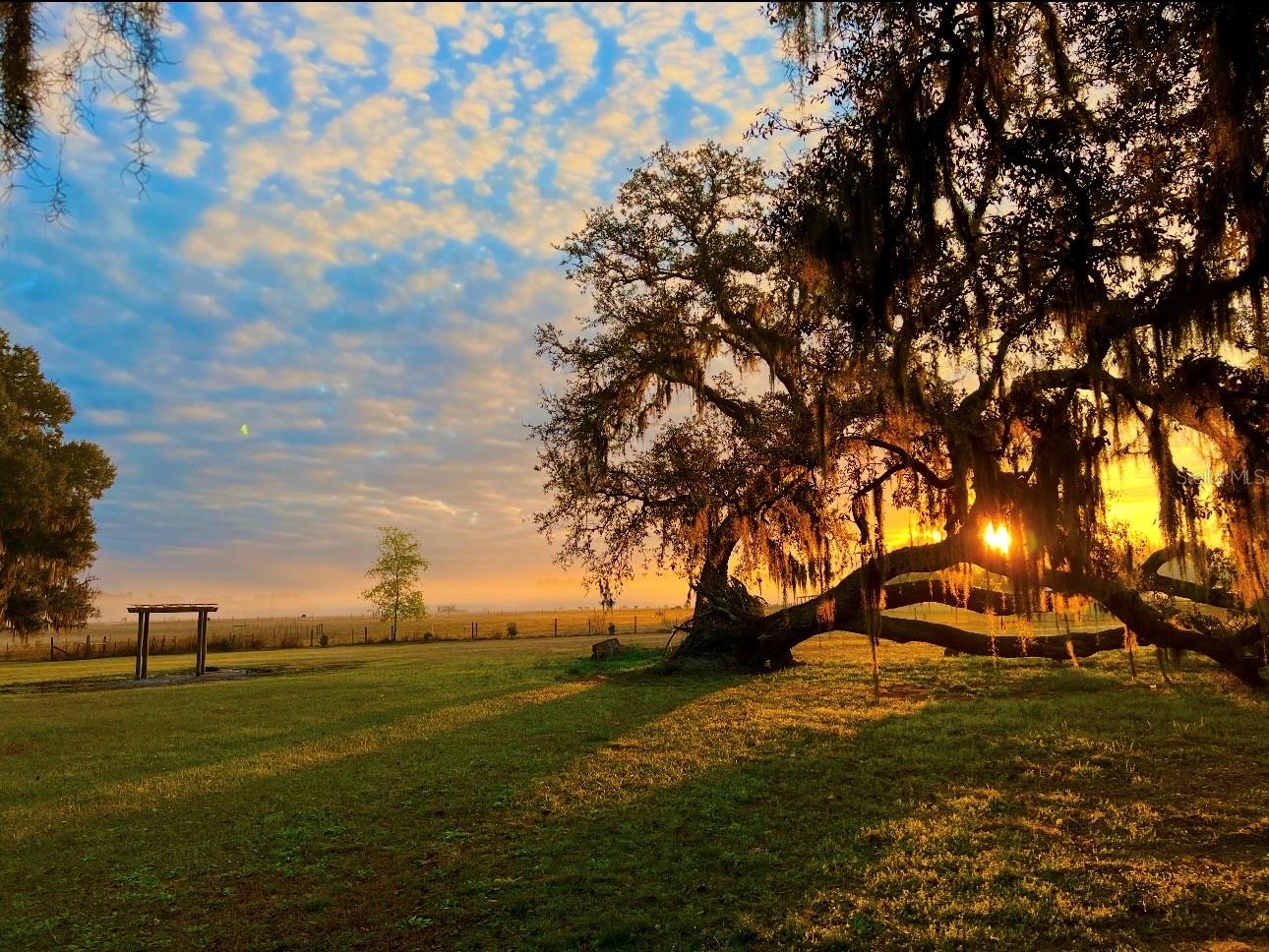 15300 LAKE IOLA RD, DADE CITY, FL, 33523