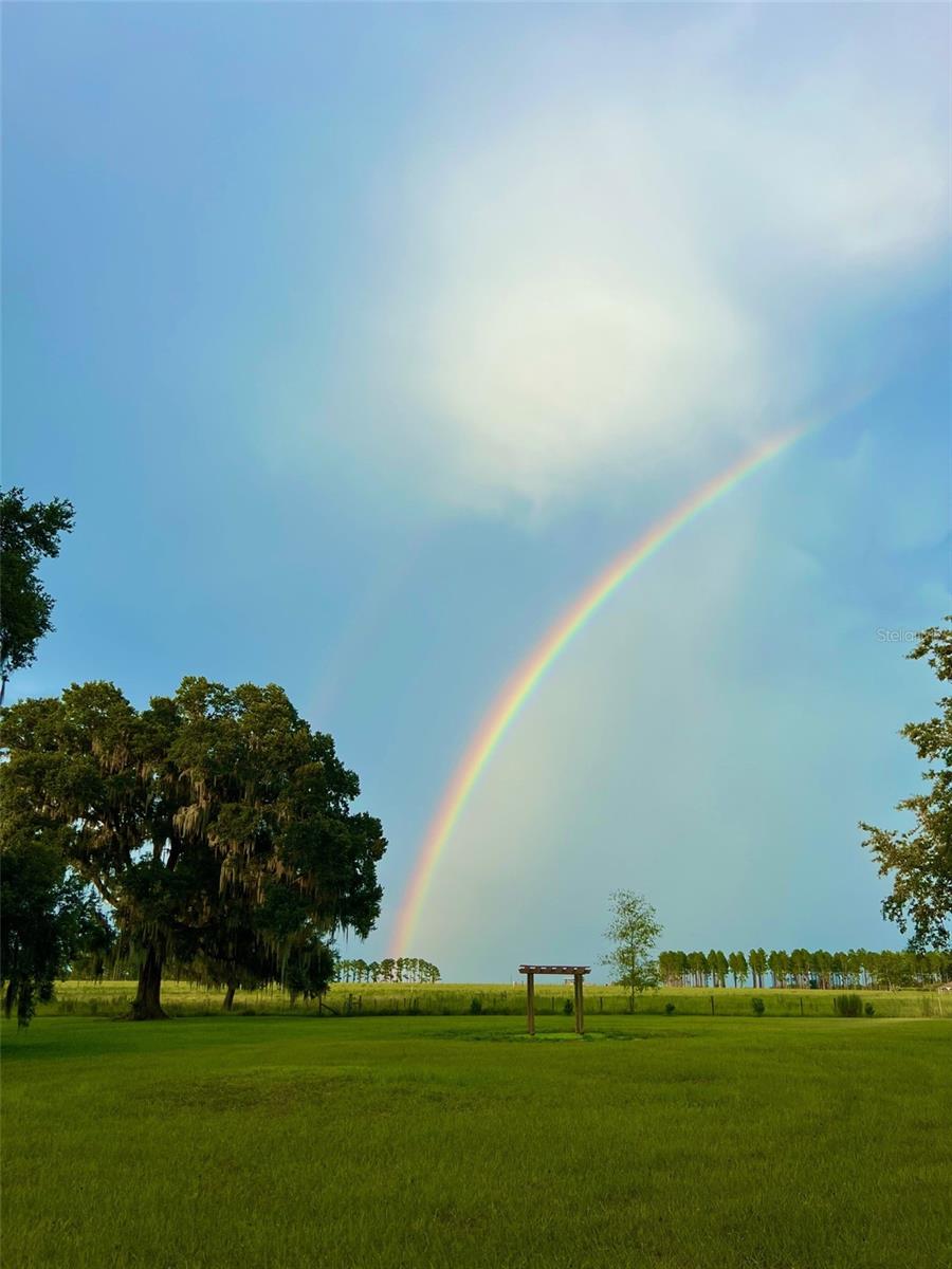 15300 LAKE IOLA RD, DADE CITY, FL, 33523