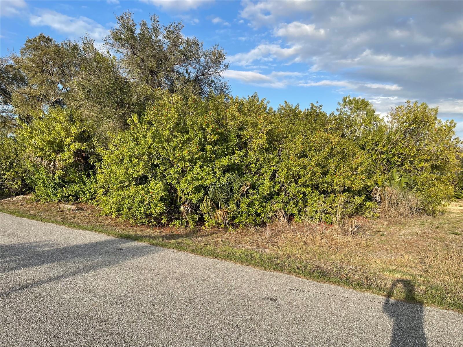 Lot #9 S LIPSCOMB ST, NORTH PORT, FL, 34287