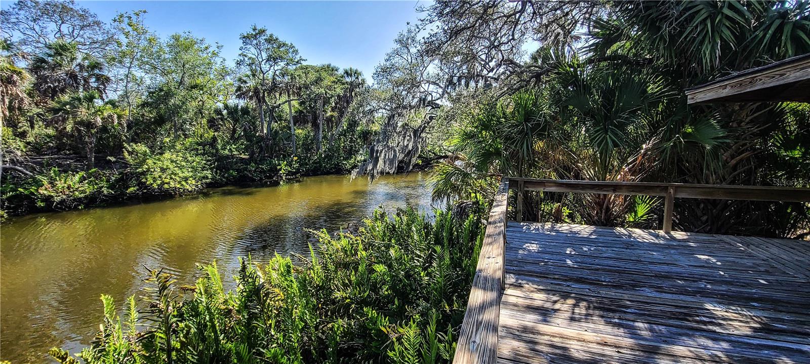 2749 ORCHID OAKS DR #302, SARASOTA, FL, 34239