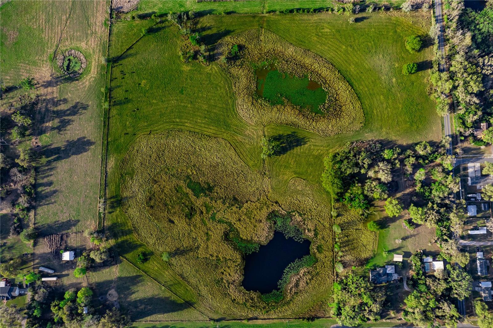 1532 W COUNTY ROAD 476, BUSHNELL, FL, 33513